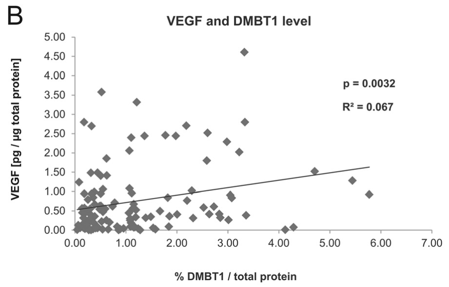 Positive correlation of VEGF levels with relative DMBT1 levels.jpg